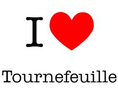 tournefeuille.1302081104.jpg