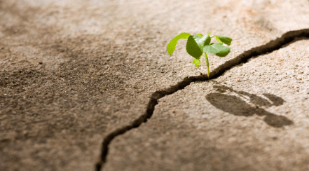 Territoires résilients